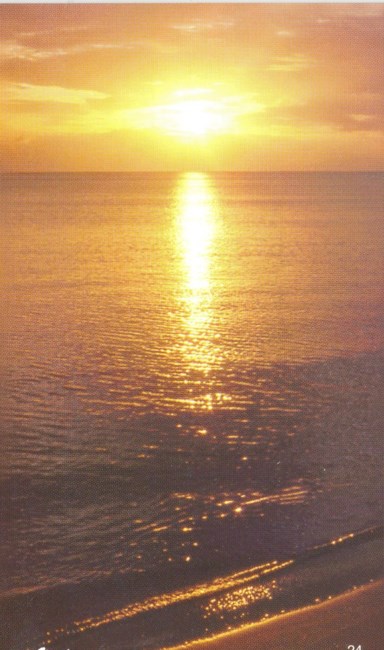 Obituary of Michael Louis Guerrisi Sr.