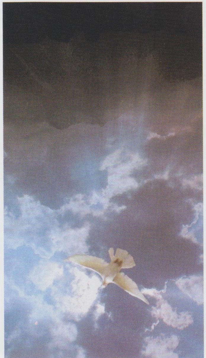 Obituary of John Joseph Norton III