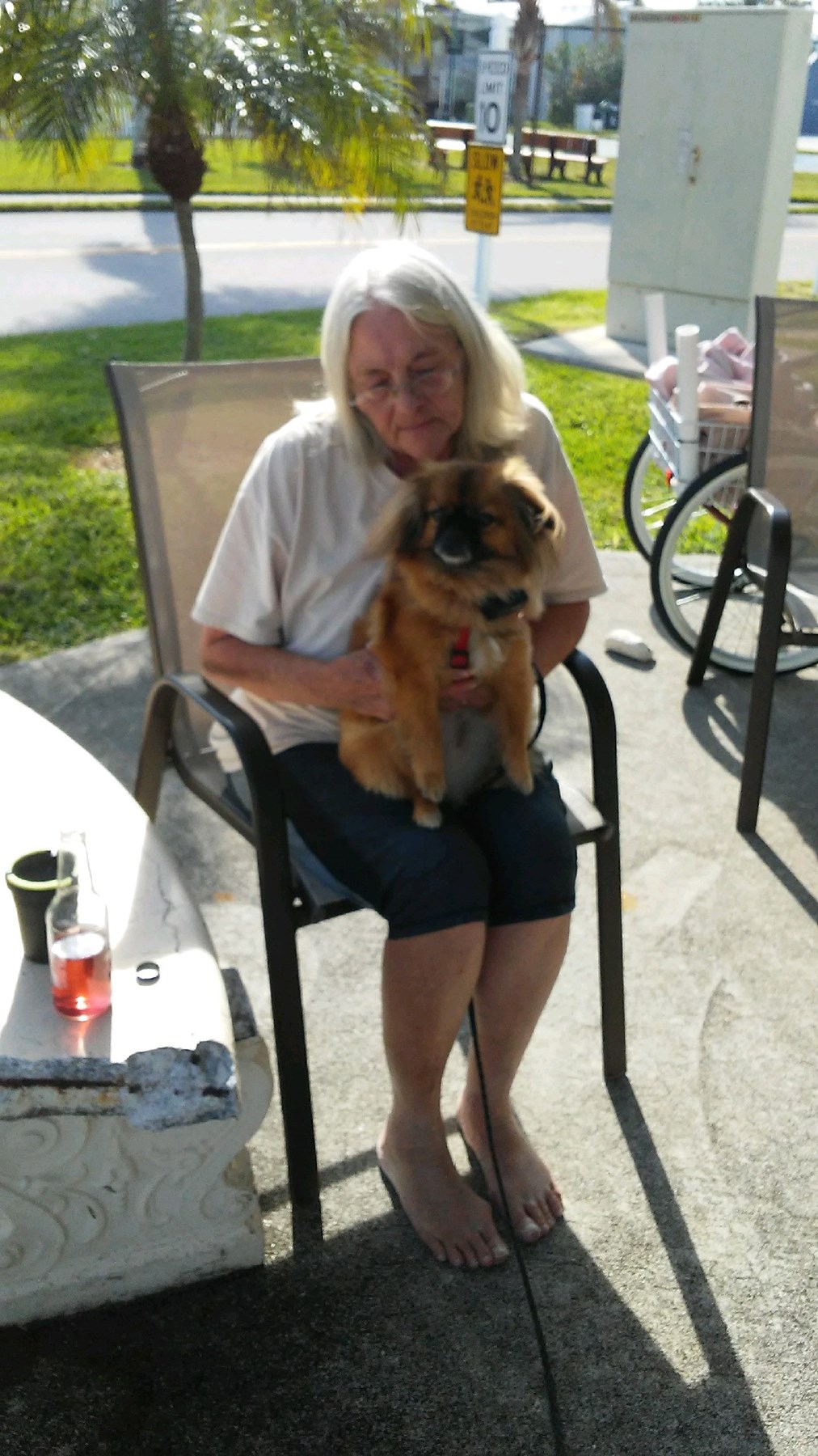 Obituary of Lois Ann Barney