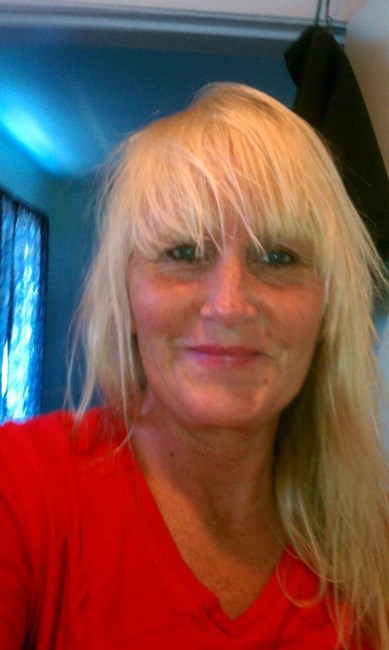 Obituary of Stephenie Anne Knapp