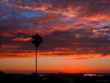 Obituary of Barbara Severance