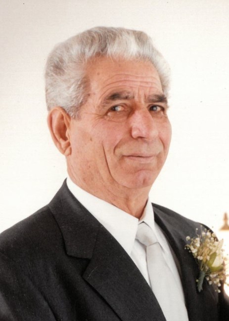 Obituary of Domenico Teti