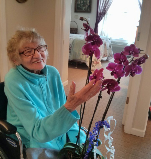 Obituary of Vlasta Ann Sebesta