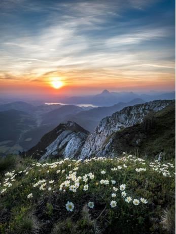 Obituary of O'Neal Pumaloy Davis