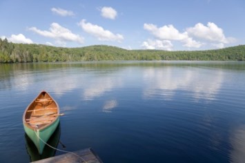 Obituary of Henry "Ray" Wilcox