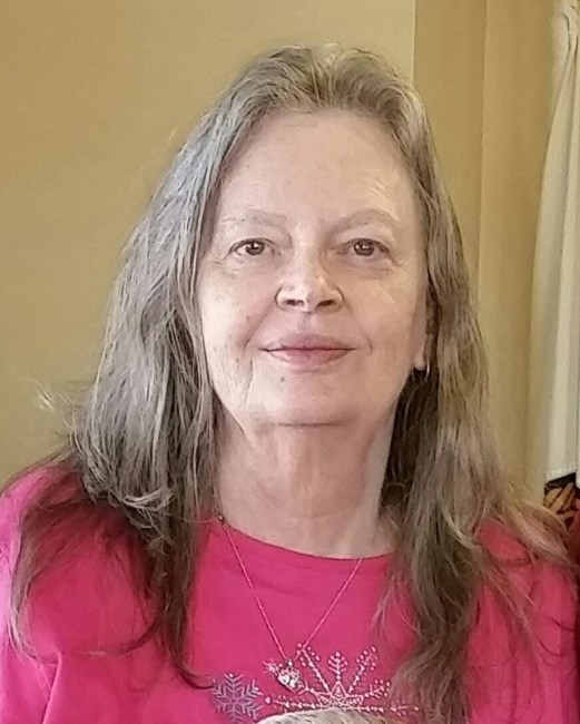 Obituary of Sandra Lee Nieukirk