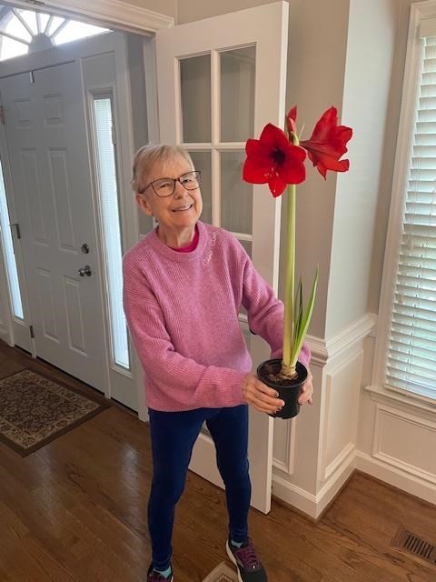 Obituary of Susan T Cox