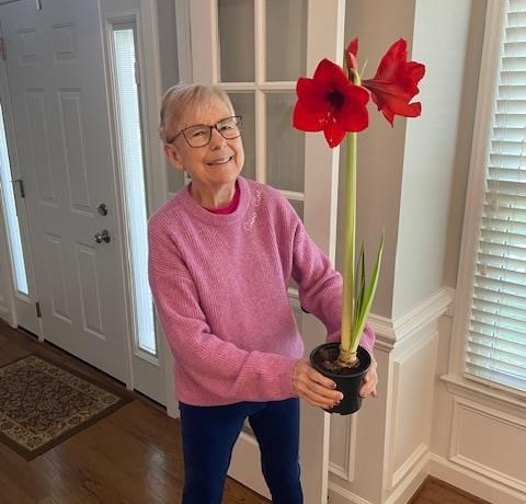 Obituary of Susan T Cox