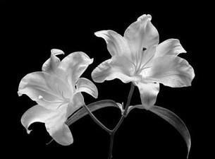 Obituary of Christiane Zurek