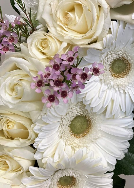 Obituary of Lan Chu Nancy Lau