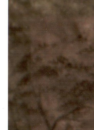 Daniel Lopez Obituary Thornton, CO