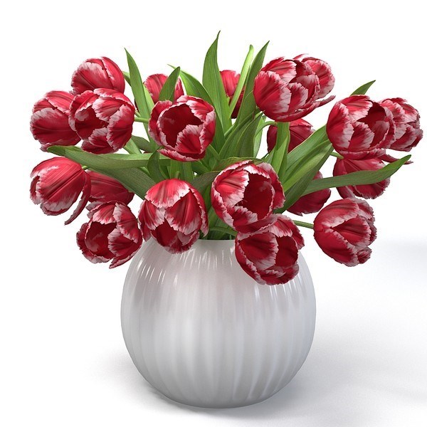 Obituary of Ms. Shirley Elizabeth Nelson