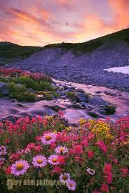 Obituary of Jeannine Tongret