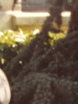 Susan Suritz Rothberg Obituary - Miami, FL