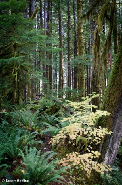 Obituary of Joshua John Graham