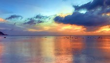 Obituary of Lee Guthartz