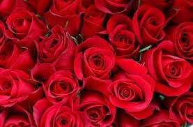 Obituary of Anita Jo Estes