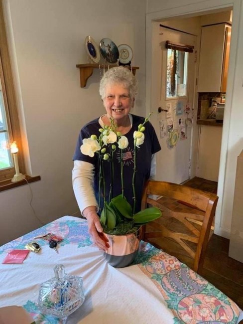 Obituary of Barbara Diane Weimer