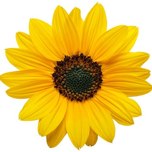 Obituary of Mirta L Rodriguez