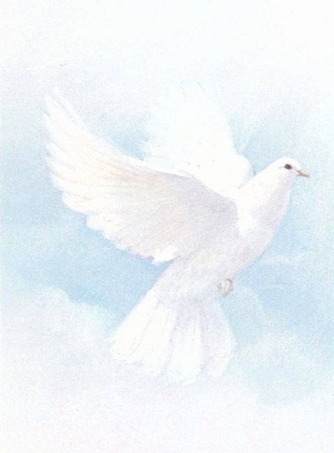 Obituary of James G. Durie