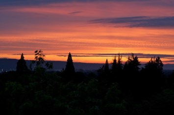 Obituary of Alfonso Bernal Estrada