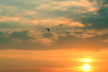 Obituary of Douglas E Hirschi