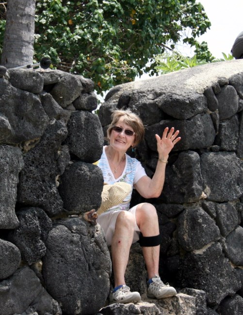 Obituary of Judy Ann Handy Strejc