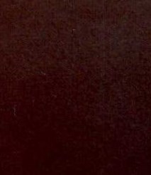 Deborah McGuire Obituary - Bloomington, IL