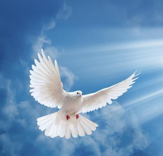 Obituary of George Michael Sixto