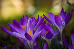 Obituary of John Paul Hubbard