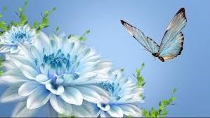 Obituary of Ines Vazquez Feliciano