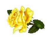 Obituary of Petra Munoz De Bloomquist