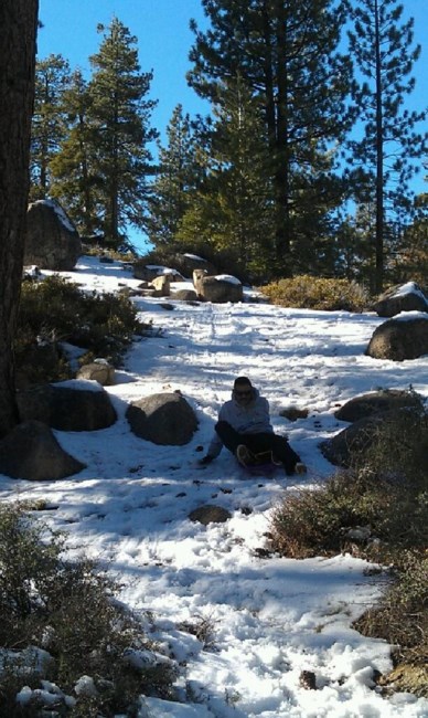 Obituary of Allan Vergara