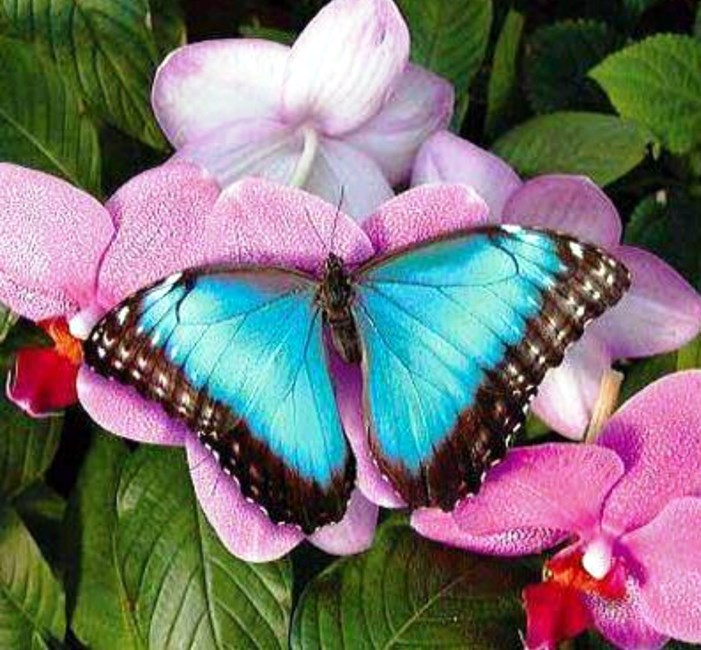 Obituary of Kristi Lee Sanders