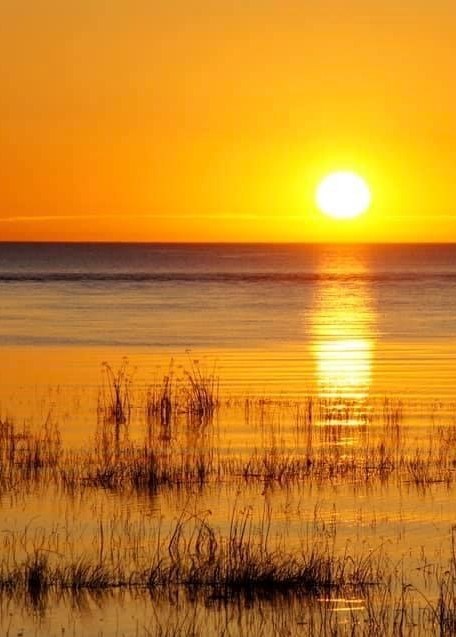 Obituary of Wing Wah Lee