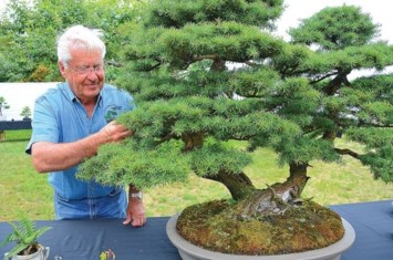 Obituary of Owen "Peter" Peter Wilson