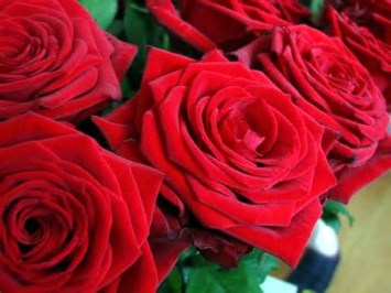 Obituary of Sherry Jennings Carter