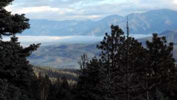 Obituary of Donald Thomas Hollingsworth