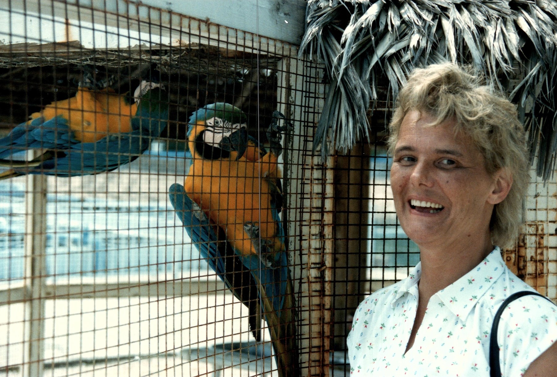 Avis de décès de Mary Irene Howe