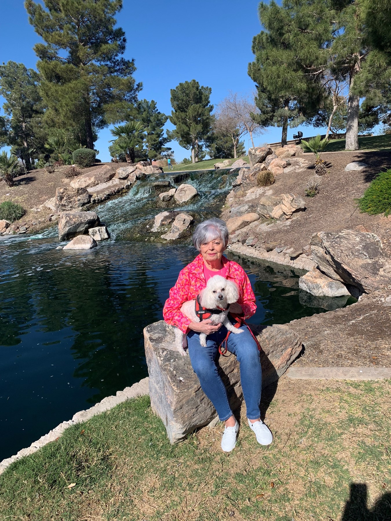 Obituary of Carolyn Ruth Reed