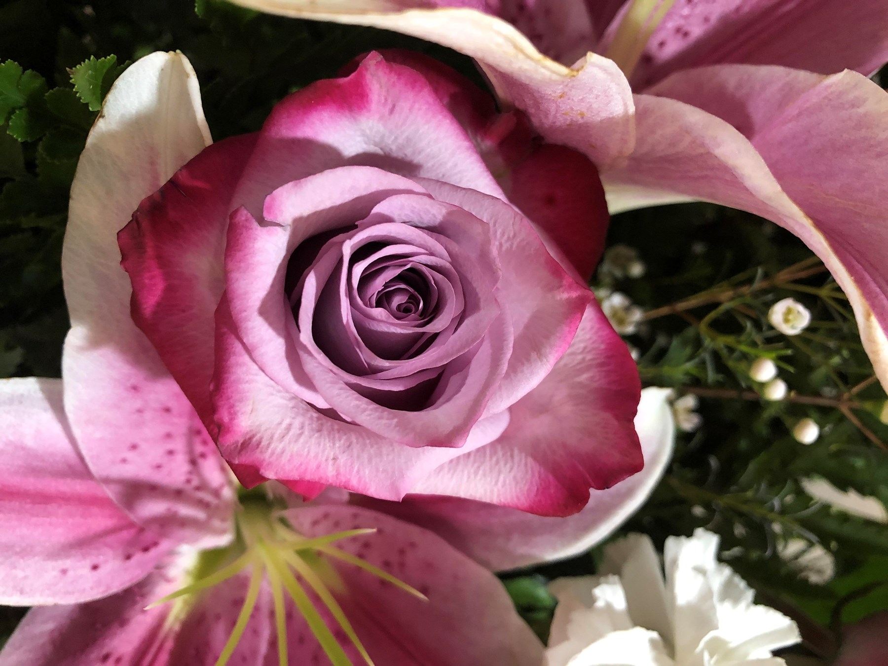 Avis de décès de Carmen Carrillo