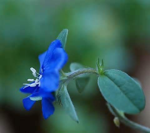 Obituary of John R Moss