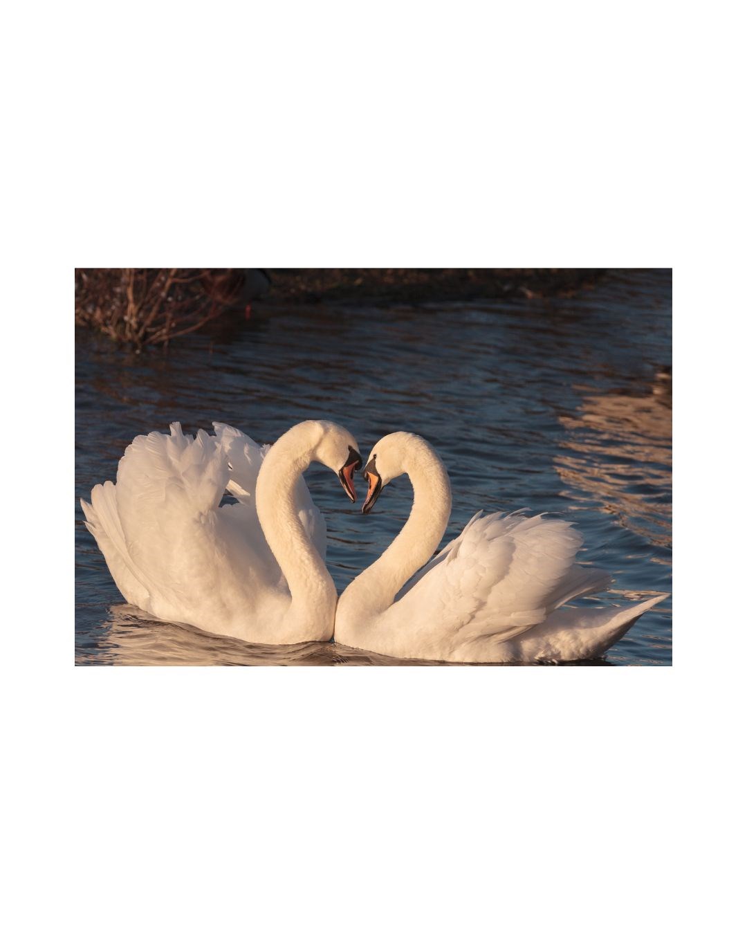 Obituary of Deanna L Smith