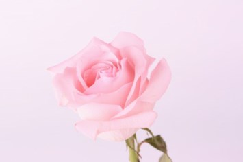 Obituary of Winnie Jean Ramsey