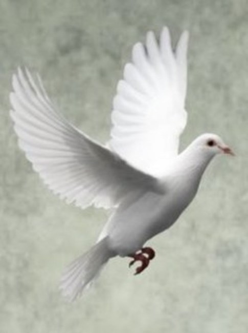 Obituary of Gary Stewart Beatty