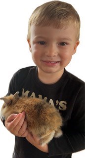 Obituary of Joseph Alexander Bell