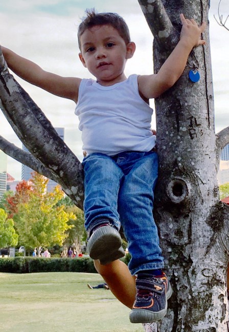 Obituary of Diego Júarez-Sánchez