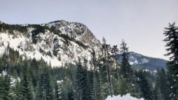 Obituary of Patricia Ferguson