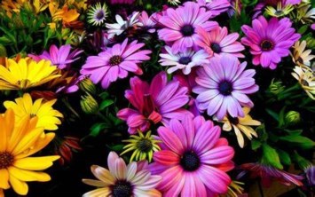 Obituary of Leah Cason Von-Gartzen