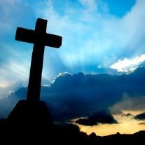 Obituary of Carole J.  Shepherd